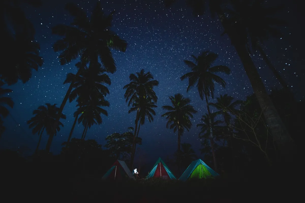 Namioty nocą pod palmami i rozgwieżdżonym niebem