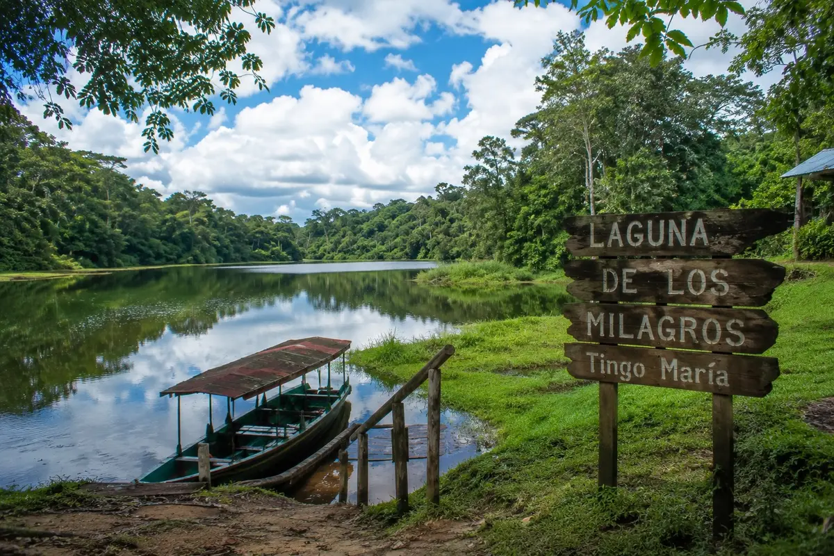 Laguna de los Milagros koło Tingo María
